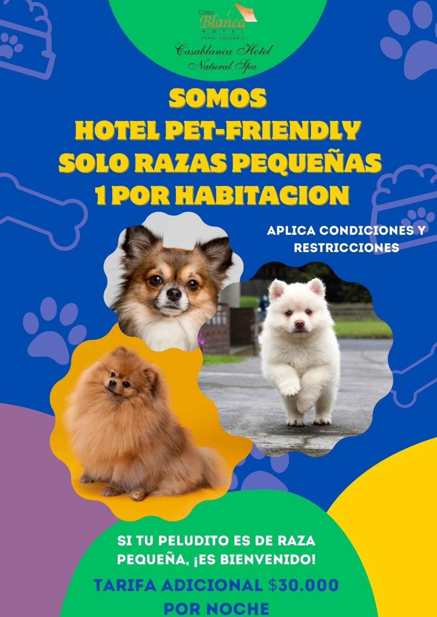 Hotel Casablanca Natural Spa Paipa Dış mekan fotoğraf